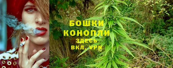 тгк Бронницы